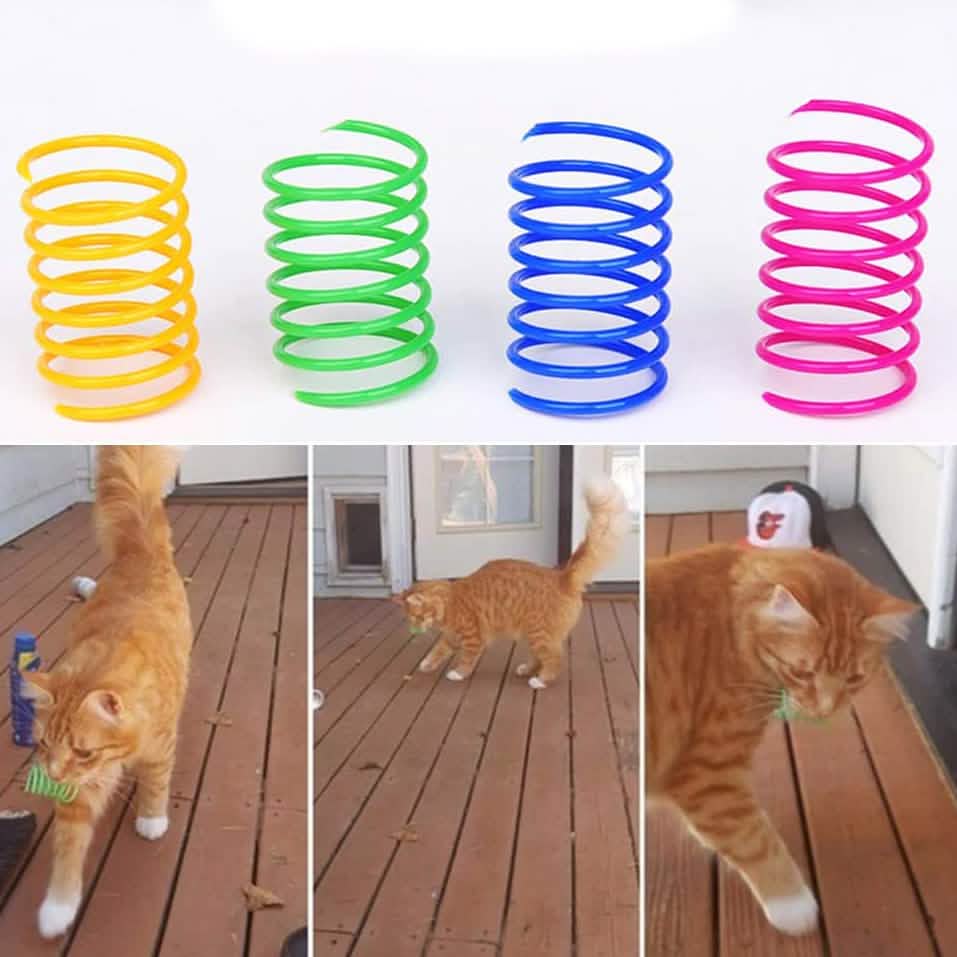 12-Piece: Cat Coil Spring Toy