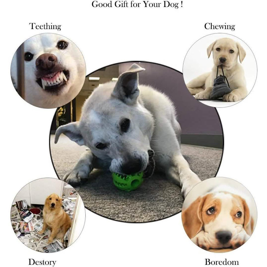 2-Pack: Dog Teething Toy Balls