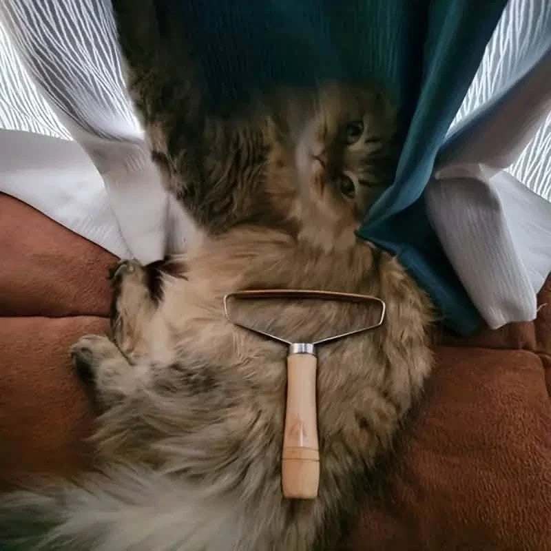 2-Pack: Pet Hair Remover Brush Manual Lint Roller