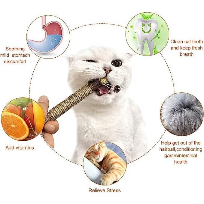 3-Pack: Silvervine Sticks Cat Toys