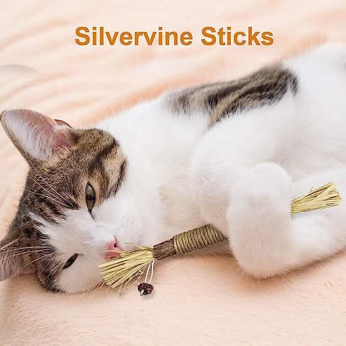 3-Pack: Silvervine Sticks Cat Toys