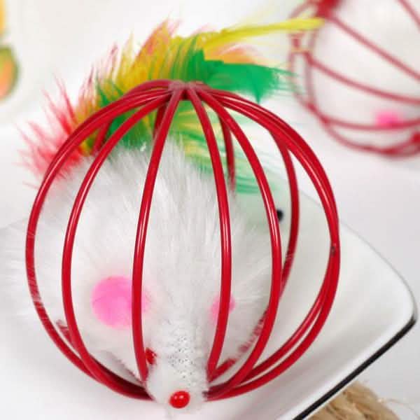 5-Pack: Pet Cat Kitten Playing Mouse Ball Cage