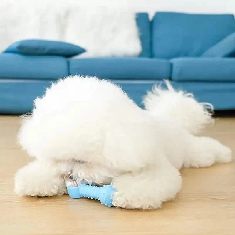 6-Pack: Puppy Teething Chew Toys with Interactive Ropes