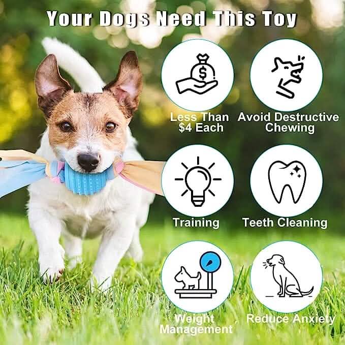 6-Pack: Puppy Teething Chew Toys with Interactive Ropes