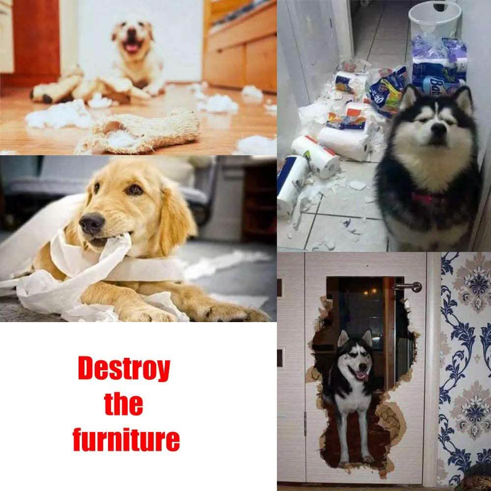 AWOOF Pet Snuffle Mat for Dogs