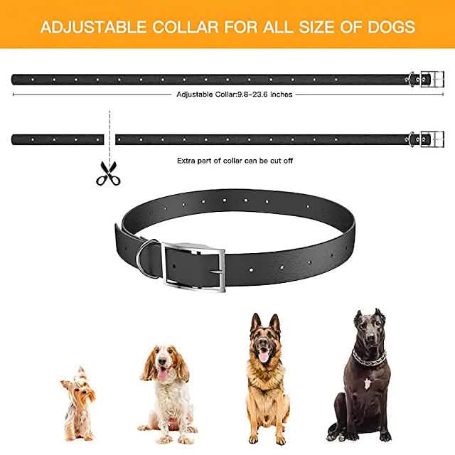 Pet Dog Shock Collar with Remote