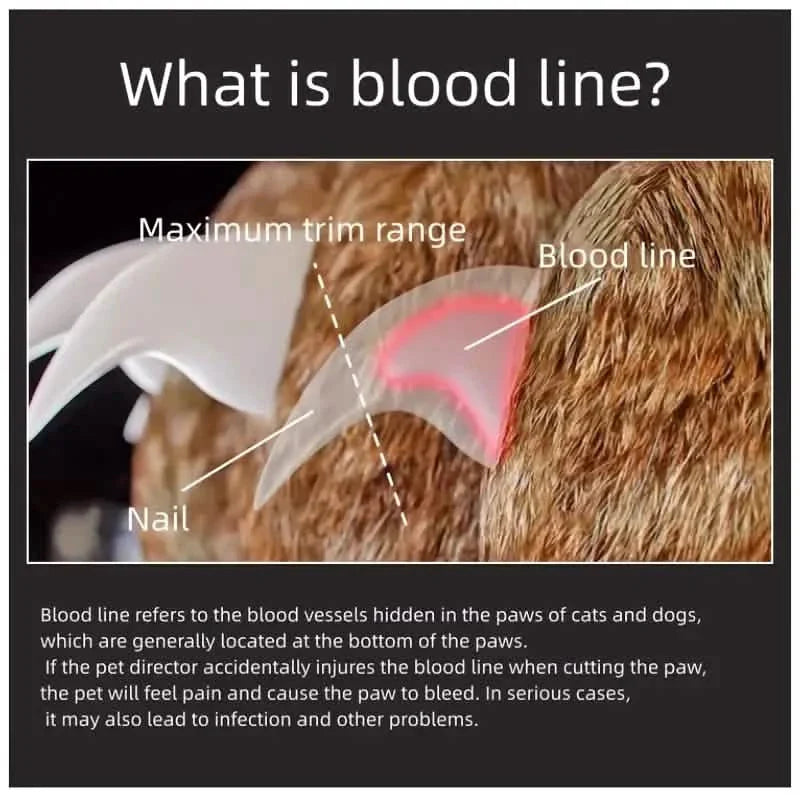 Professional Pet Nail Clipper Scissors